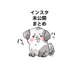 インスタ未公開まとめリンク