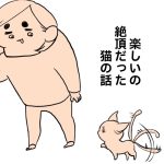 楽しいの絶頂だった猫の話