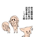 体力無限な猫の話