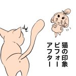 ねこの印象ビフォーアフター