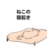 ねこの寝起き