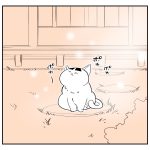 ばあちゃんと前髪ねこ
